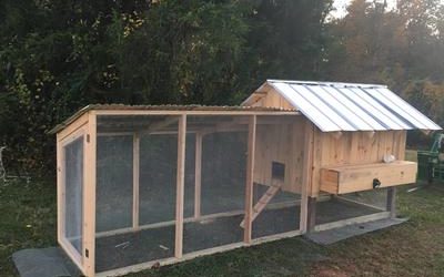 Chicken coop in Virginia