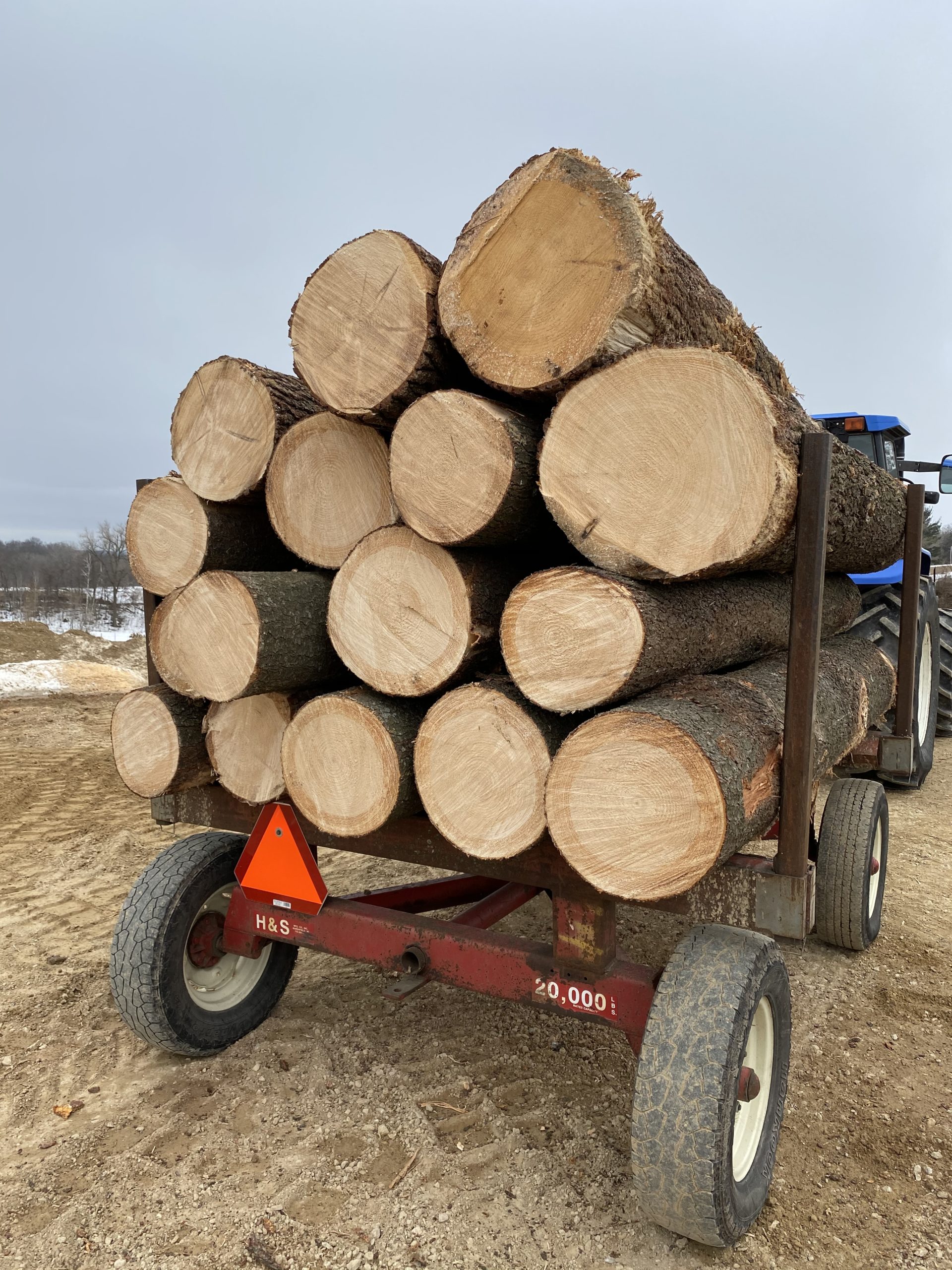 Logs on a trailer