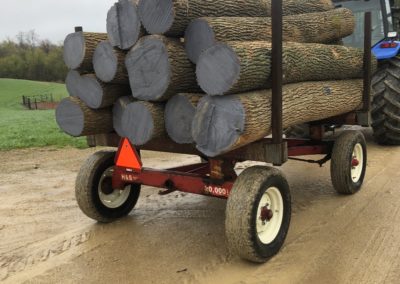 Logs on a Trailer