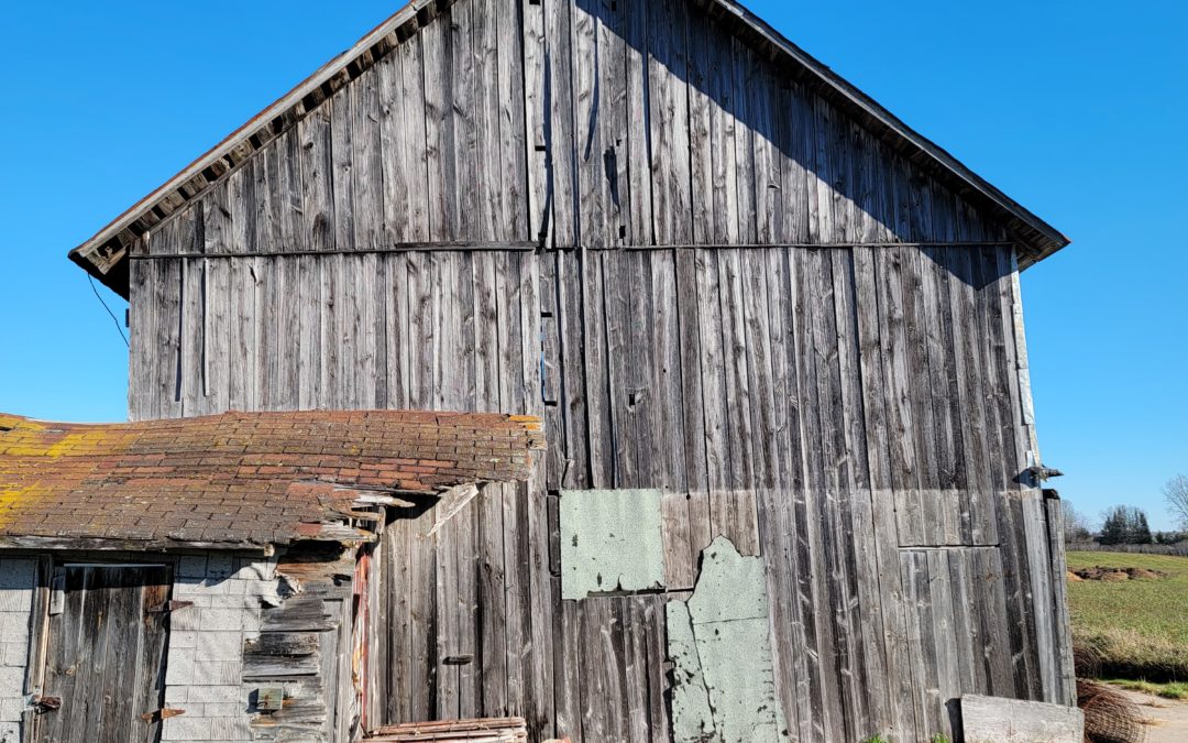 Old Barn For Salvage, Suring WI.