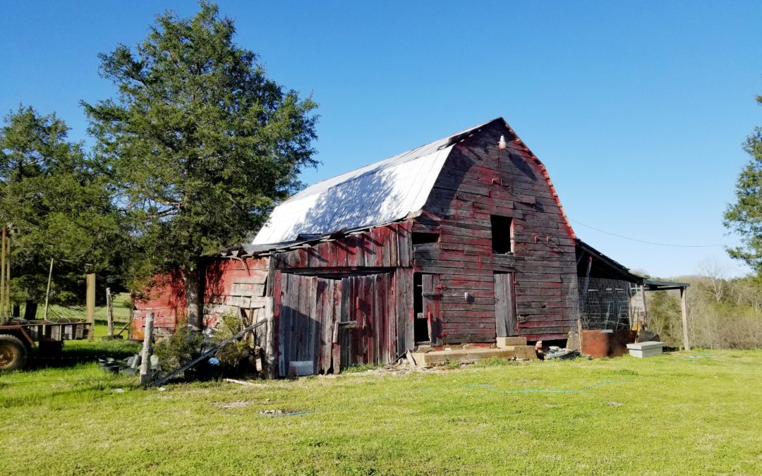 Heartwood Sawed Old Barn