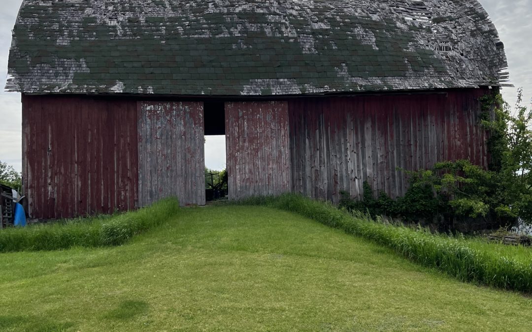 Barn owner