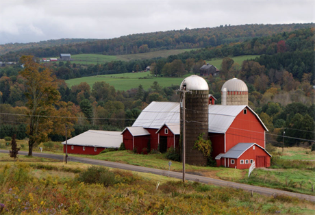 Barn in Afton NY 13730