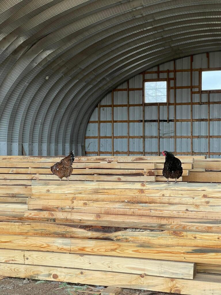 How to Store Lumber to Prevent Warping 3 332874347 719888079631721 1050390688212731287 n