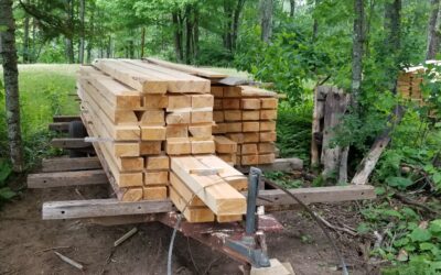 How to Use Local Lumber to Cut Barn Costs