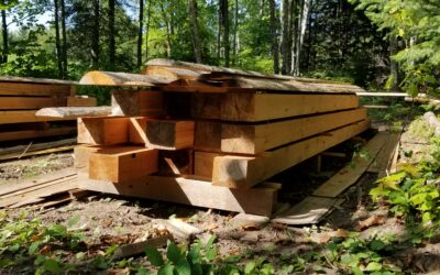 How to Store Lumber to Prevent Warping