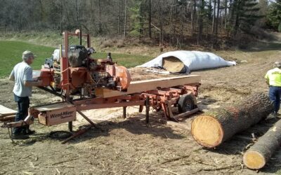 Is it worth while to have a local sawmill cut some or all of my Barn Lumber or even do it myself?