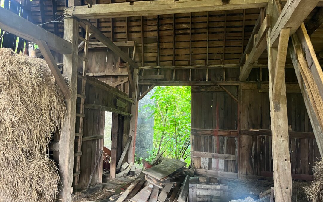 Large Barn removal