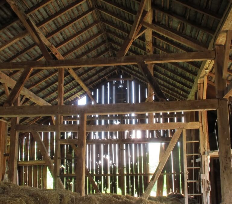 #119 – Gorgeous Barn Frame for sale.