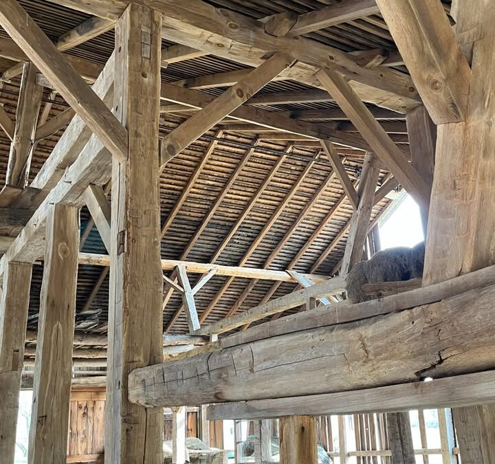 #124 – Fox Den Barn frame