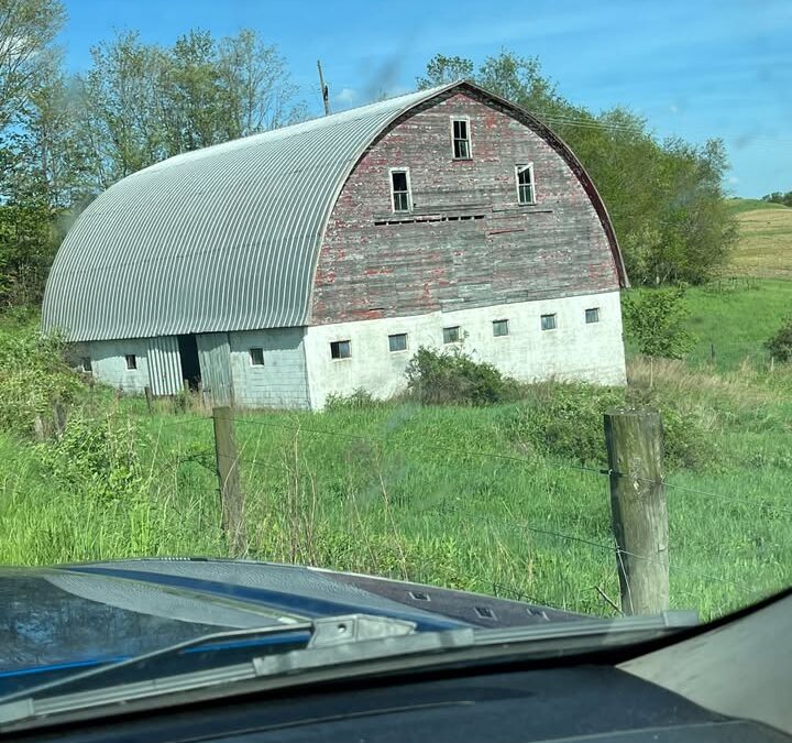 Barn 0129