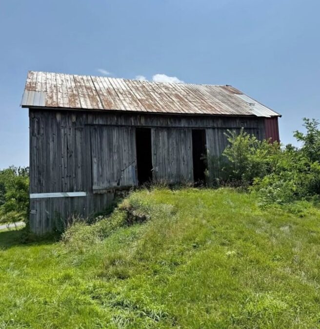 Sawn Fir Barn Frame For Sale (#109)
