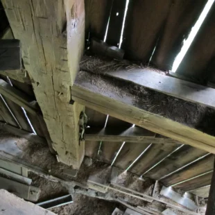 141 CurwinsvilleIMG 2258 1920w