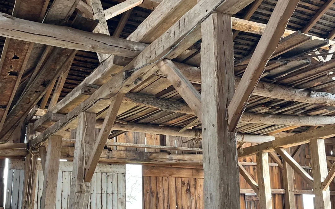 Beautiful 1800s White Oak Barn Frame (#124)
