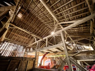 BellaRoadIMG 2680 edited 1920w