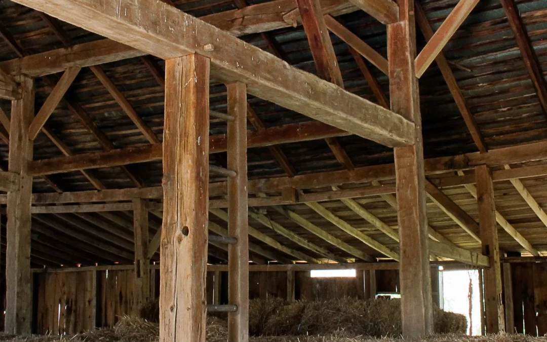 Beautiful 1800s White Oak Frame (#119)
