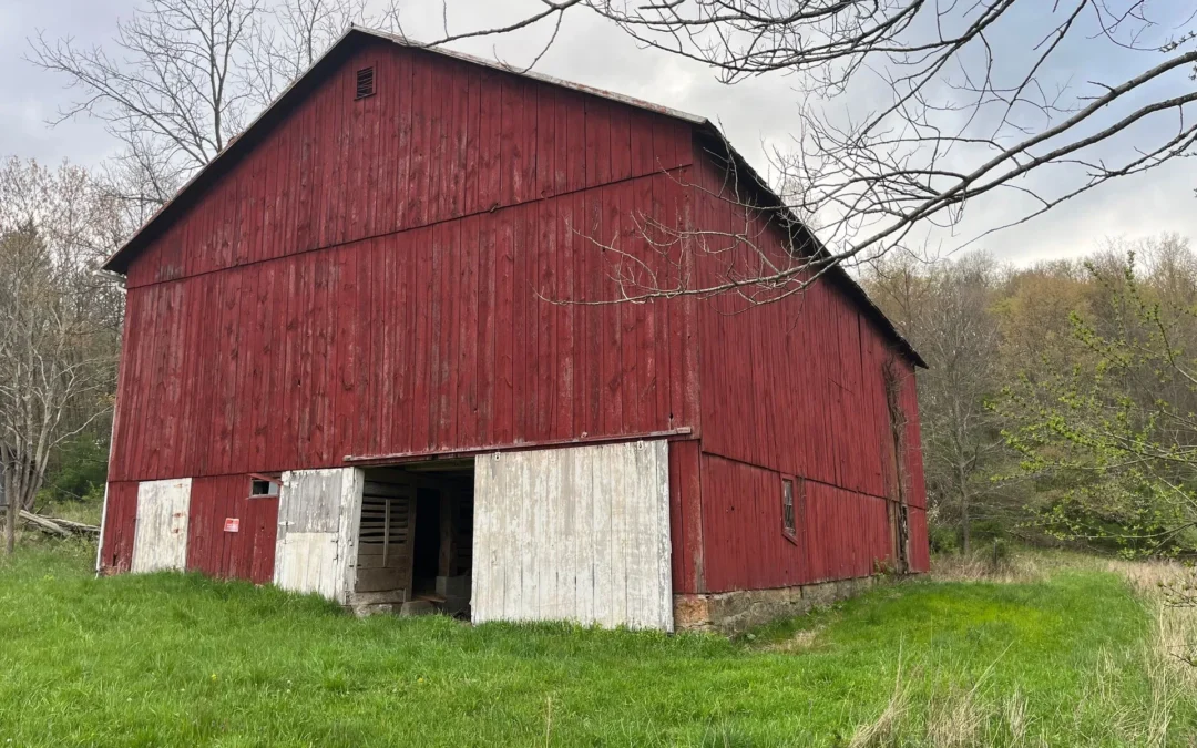 Restored Antique Oak Barn Frame (121)