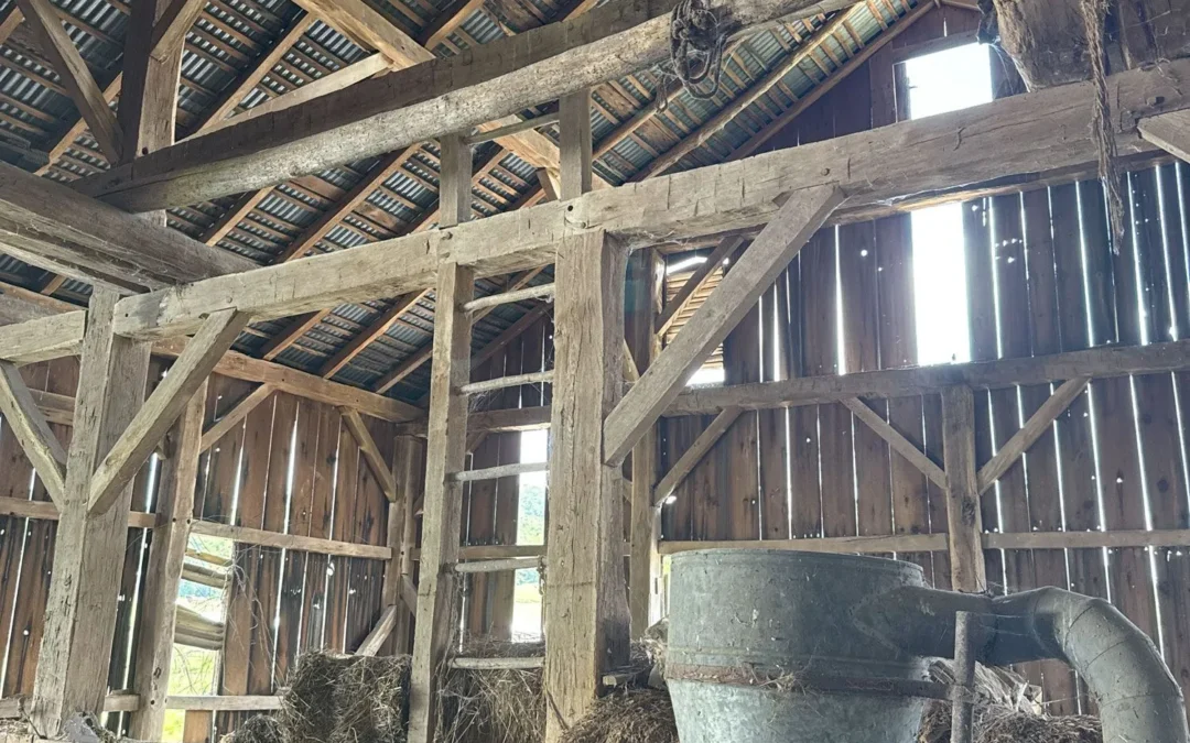 Hand-Hewn White Oak Timber Frame Barn 40×60