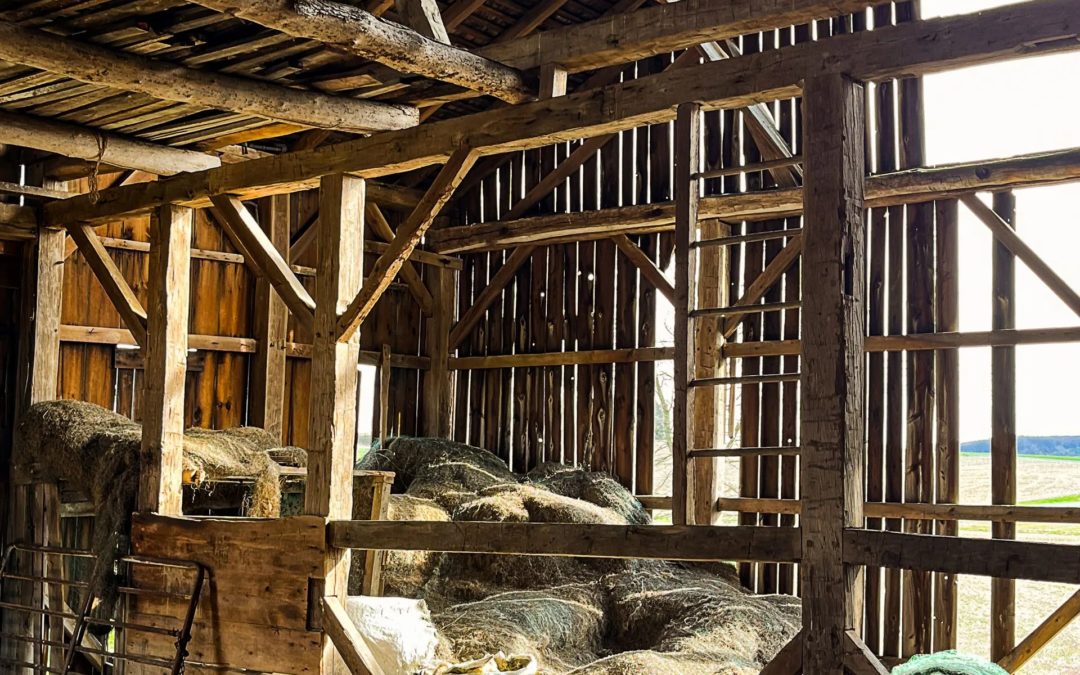 Antique Hand-Hewn Oak Timber Frame 45×62