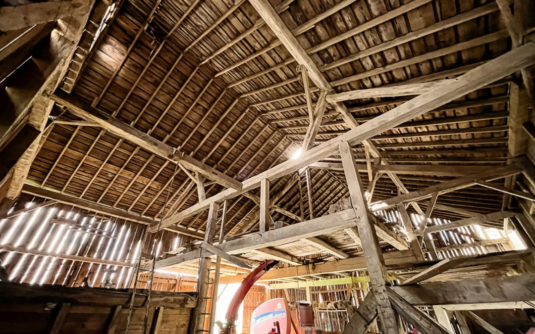 1890 Hand-Hewn Oak Timber Barn Frame 44×60