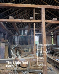 Little Red