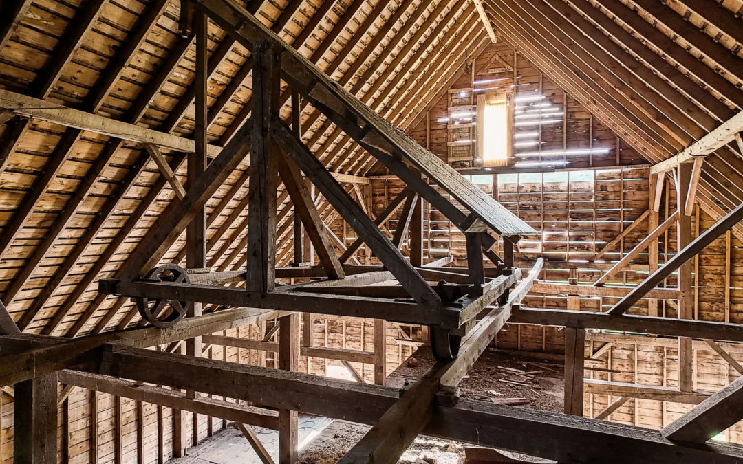 Sawn Fir Timber Frame Barn 50×120 | 3-Story Potential
