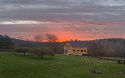A 26×40 Christmas Tree Farm Barn: The Winterport Evergreen Farm Story