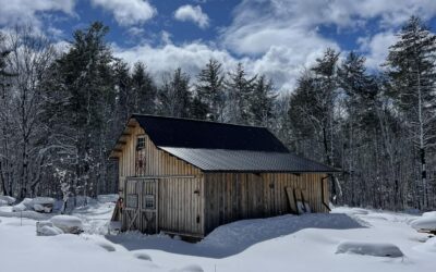 Ancient Jib Pole, A Game Changer for Your Barn Project