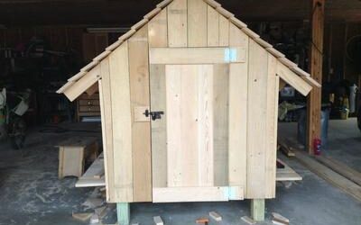 Coop I made for Dave and Trisha