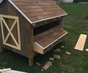 Free Chicken Coop Plans 8 First Timer Gomer Style