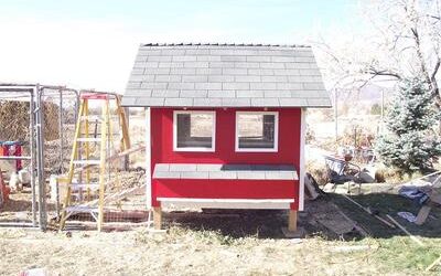 New Chicken Home