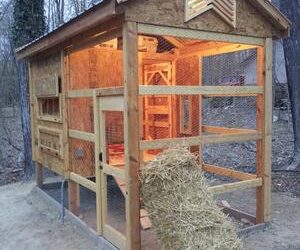 Free Chicken Coop Plans 5 Our First Coop