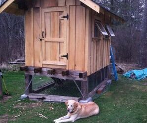 The Coop