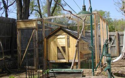 Free Chicken Coop Plans 9 tis house of fowl