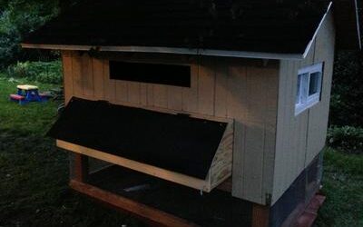 We built this chicken coop slightly larger…